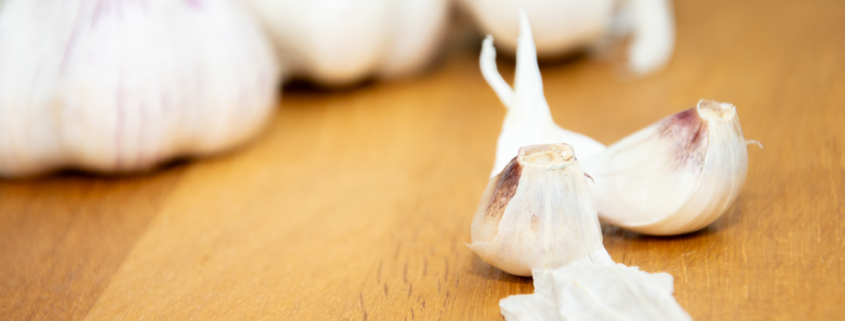 Knoblauch Standort