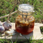 Knoblauch fermentieren