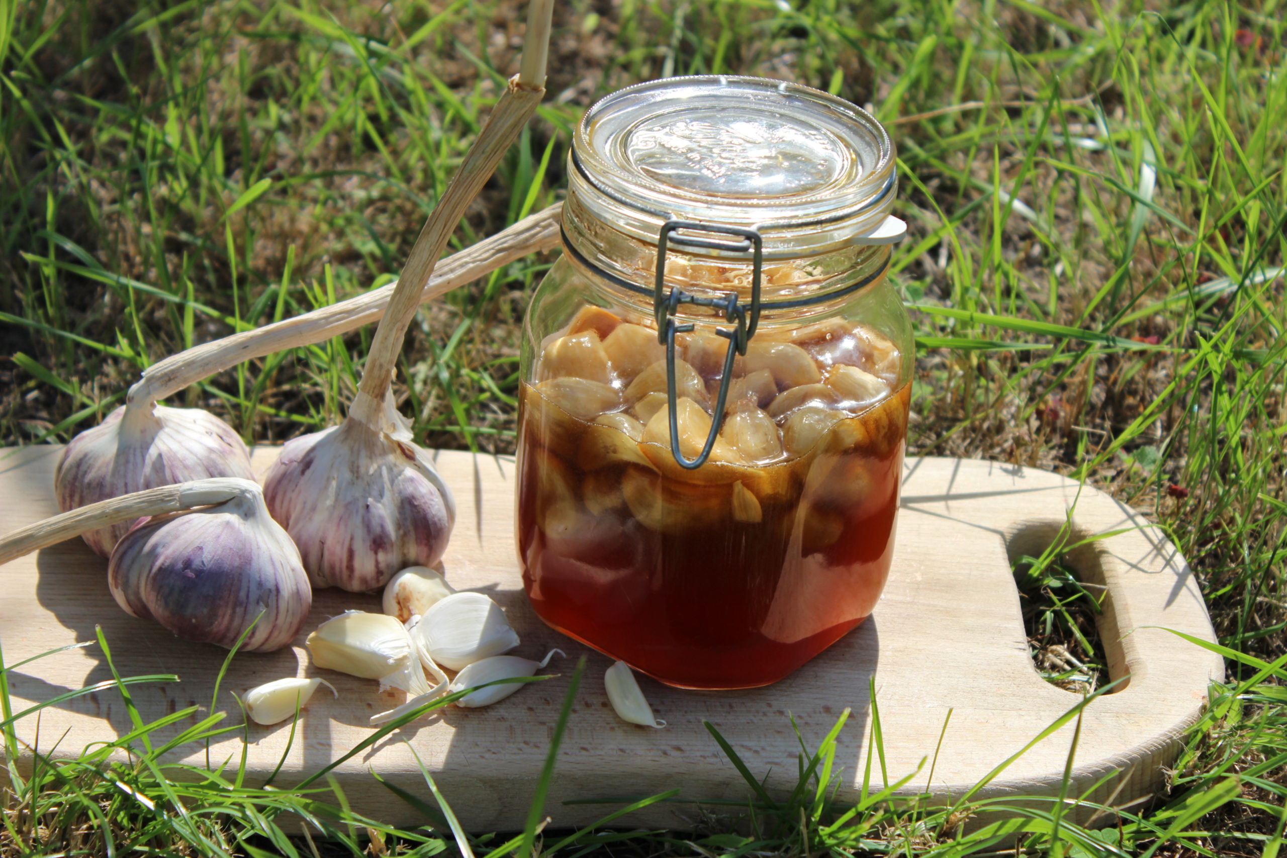 Knoblauch fermentieren