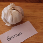 Knoblauch Garcua