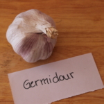 Knoblauch Germidour