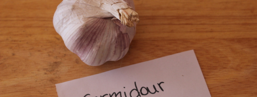 Knoblauch Germidour