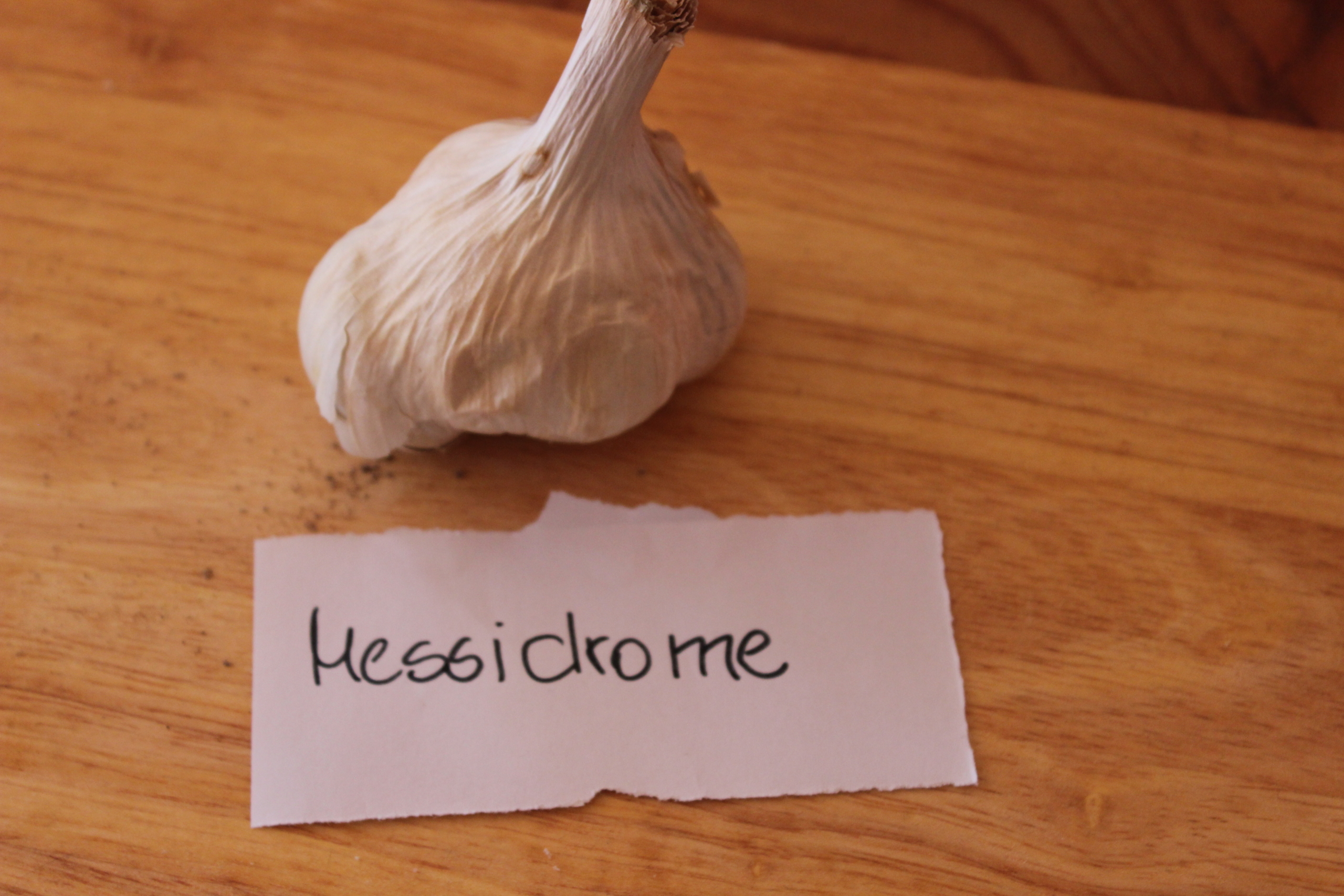 Knoblauch Messidrome